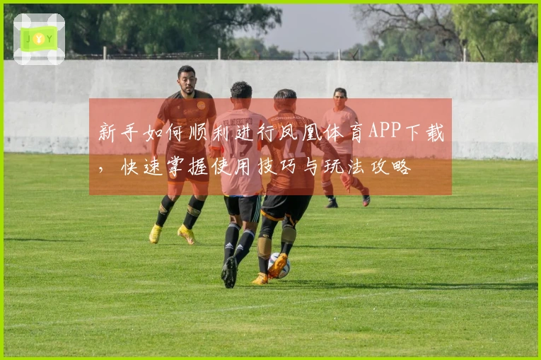 新手如何顺利进行凤凰体育APP下载，快速掌握使用技巧与玩法攻略