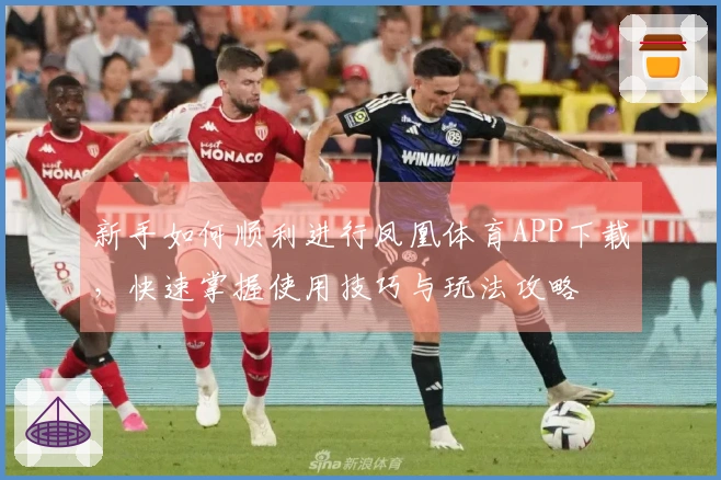 新手如何顺利进行凤凰体育APP下载，快速掌握使用技巧与玩法攻略